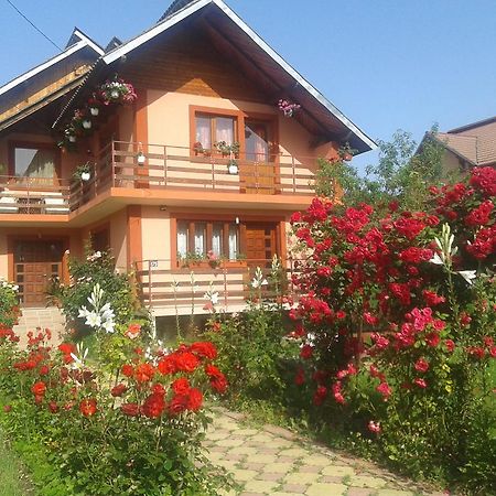 Nopti De Vara Transfagarasan Capatineni-Paminteni Dış mekan fotoğraf